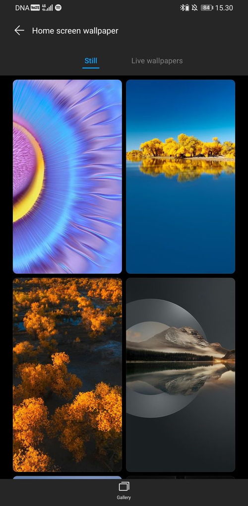 华为电脑热门壁纸怎么换(华为电脑壁纸更换教程，探索热门壁纸的魔力)