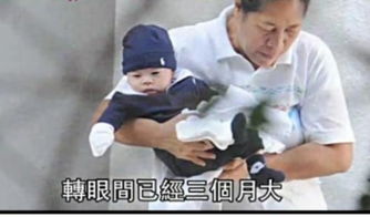 爸爸用霍氏八极拳铁山靠帮孩子摘杏(爸爸的铁山靠与霍氏八极拳，杏子的收获之旅)