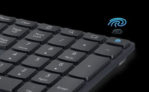 电脑贴纸华为平板怎么贴(华为平板贴纸贴法详解，从选择到应用的全过程)