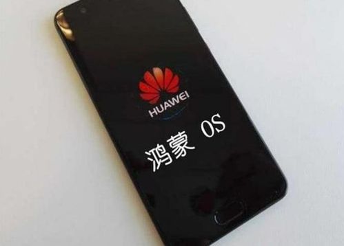 华为电脑怎么加手机热点(华为电脑连接手机热点,详细步骤与操作指南) 华为电脑怎么加手机热点(华为电脑连接手机热点,详细步骤与操作指南)