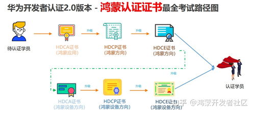 华为电脑怎么学插画的(华为电脑学习插画教程，入门与进阶指南)