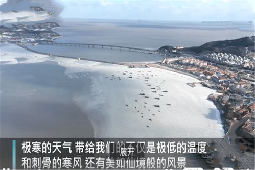 烟台海面变“草原”了(烟台海面惊现草原奇观)