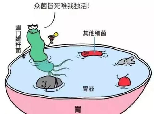 医生称无菌蛋并非百分百无细菌(医生揭示真相,无菌蛋并非百分百无细菌) 医生称无菌蛋并非百分百无细菌(医生揭示真相,无菌蛋并非百分百无细菌)
