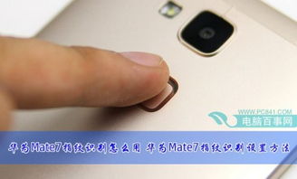 华为电脑密码指纹怎么设(华为电脑设置指纹密码的详细步骤指南)