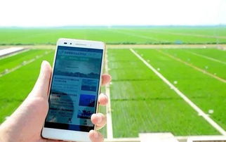 华为手机怎么触碰电脑(华为手机触碰电脑，连接与交互的新时代)