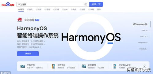 华为鸿蒙系统怎么接入电脑(华为鸿蒙系统接入电脑，操作指南与深度解析)