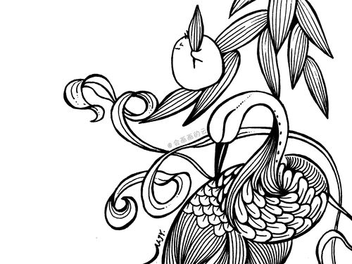 华为电脑怎么画花纹框(华为电脑绘制花纹框的详细步骤指南)