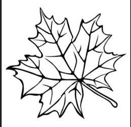 华为电脑怎么画花纹框(华为电脑绘制花纹框的详细步骤指南)