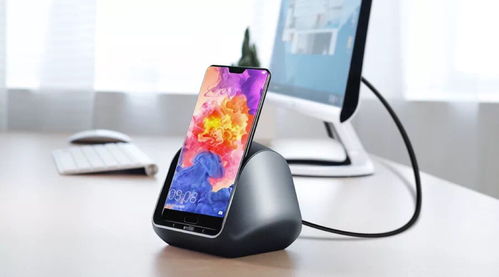 华为电脑上怎么下载斑马(华为电脑上如何下载斑马，详细步骤与注意事项)