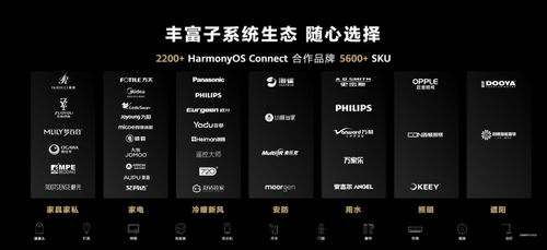 华为怎么跟电脑互通网络(华为与电脑互通网络，连接技术与未来的桥梁)