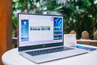 华为电脑14颜色怎么选(华为电脑14系列，如何选择最适合你的颜色)