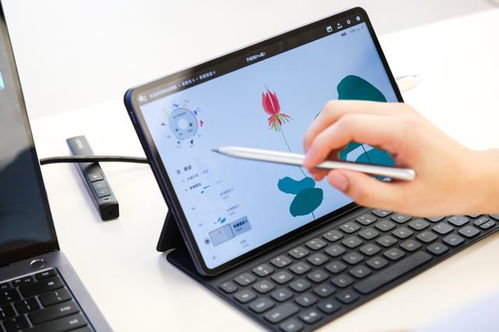 华为电脑怎么样画画(华为电脑与绘画艺术的融合，探索数字化绘画新体验)