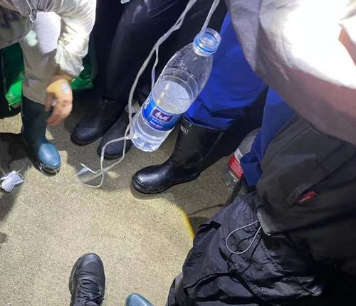 小伙到杭州一天抓12-15斤知了(小伙杭州一天抓获12-15斤知了，蝉鸣乐章背后的故事)