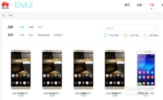 电脑怎么下载华为手机rom(电脑如何下载华为手机ROM—详细步骤解析)