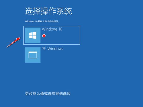 华为电脑游泳壁纸怎么换(华为电脑游泳壁纸更换教程)
