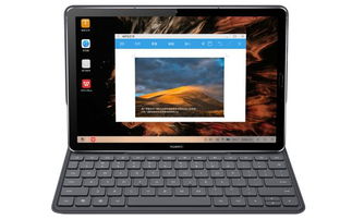 华为电脑怎么下载极限国度(华为电脑如何下载极限国度游戏) 华为电脑怎么下载极限国度(华为电脑如何下载极限国度游戏)