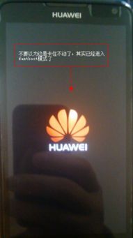 电脑怎么安装华为adb驱动(电脑如何安装华为ADB驱动)