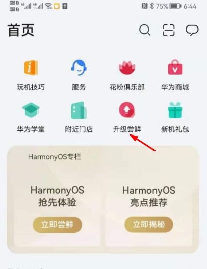 华为电脑怎么升鸿蒙系统(华为电脑升级鸿蒙系统详解)