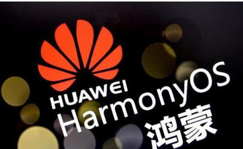 华为电脑怎么升鸿蒙系统(华为电脑升级鸿蒙系统详解)