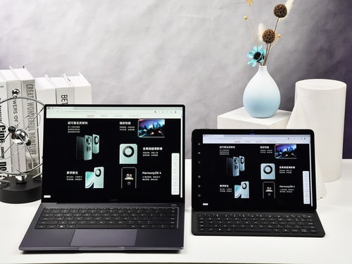 华为怎么网络共享电脑(华为网络共享电脑，实现高效协同工作的关键步骤)