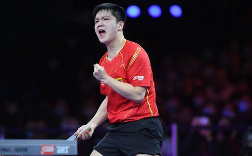 王楚钦谈马龙樊振东：榜样的力量(王楚钦谈马龙樊振东，榜样的力量)