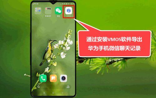 华为照片电脑怎么导出(华为照片电脑导出全攻略，轻松实现照片同步传输)