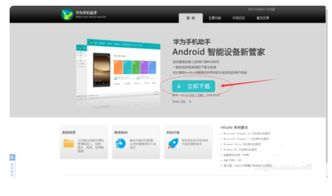 电脑怎么装华为应用(电脑如何安装华为应用，详细步骤与注意事项)