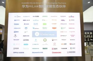 华为怎么和电脑管(华为与电脑管，共创智能生态的未来)