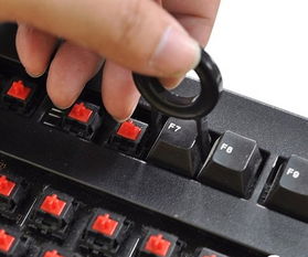 华为电脑外皮怎么清洗(华为电脑外皮清洗指南,让你的电脑焕然一新) 华为电脑外皮怎么清洗(华为电脑外皮清洗指南,让你的电脑焕然一新)