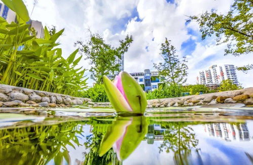 华为怎么下官服电脑(华为电脑官服下载指南)