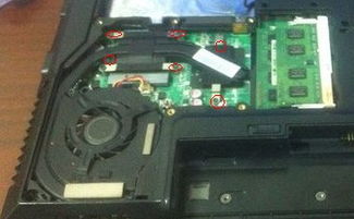 华为电脑螺丝怎么拧(华为电脑螺丝拧紧技巧详解)