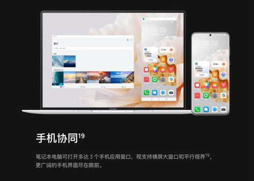 怎么共享屏幕 华为电脑(华为电脑如何轻松实现屏幕共享)