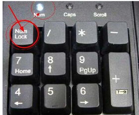 华为电脑键盘怎么贴(华为电脑键盘贴膜指南)