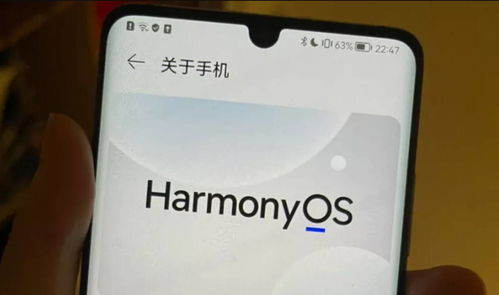 华为电脑怎么打白条(华为电脑与白条支付,智能科技与金融服务的完美结合) 华为电脑怎么打白条(华为电脑与白条支付,智能科技与金融服务的完美结合)