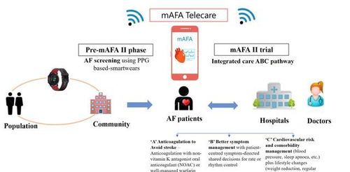 华为电脑怎么进步pubmed(华为电脑如何助力PubMed研究进步，技术与效率的融合)