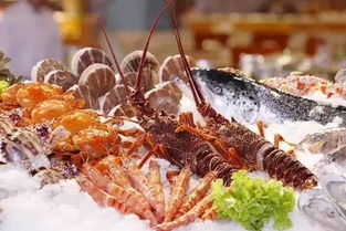 又一小火锅火出圈：主打海鲜 5元/盘(又一小火锅火出圈，主打海鲜，5元/盘)