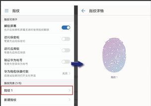 华为电脑怎么解除指纹(华为电脑指纹识别功能的使用与解除指南)