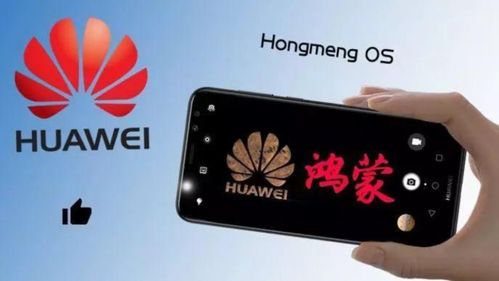 华为电脑怎么使用内存(华为电脑如何使用内存—内存管理与优化指南)