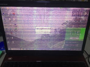 华为电脑花屏怎么解决(华为电脑花屏问题解析与解决方案)