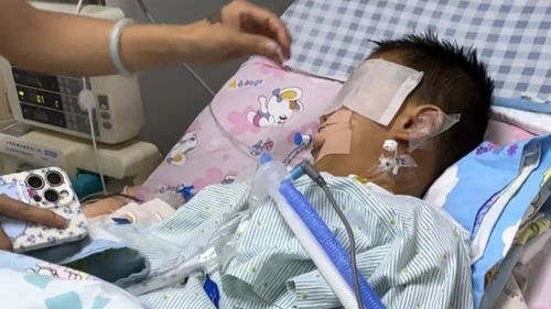 手术后脑死亡男童母亲发声(手术后脑死亡男童母亲发声,爱与坚持的力量) 手术后脑死亡男童母亲发声(手术后脑死亡男童母亲发声,爱与坚持的力量)
