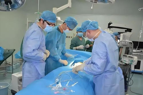 手术后脑死亡男童母亲发声(手术后脑死亡男童母亲发声,爱与坚持的力量) 手术后脑死亡男童母亲发声(手术后脑死亡男童母亲发声,爱与坚持的力量)