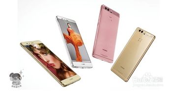 华为电脑包怎么装电脑(华为电脑包安装电脑指南)