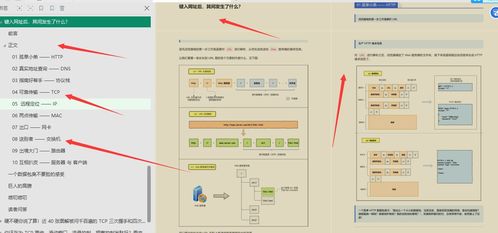华为电脑怎么ping(华为电脑如何进行Ping操作)