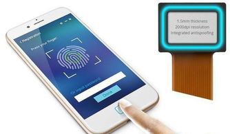 华为电脑怎么去除指纹锁(华为电脑指纹识别功能的使用极大提升了用户的使用便捷性和安全性，但有时出于各种原因，用户可能需要去除指纹锁功能。本文将详细介绍如何去除华为电脑的指纹锁功能。