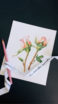 华为电脑桌面怎么放视频(华为电脑桌面如何放置视频，简单教程)