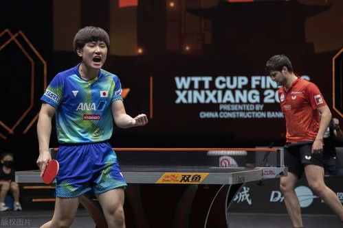 王楚钦张本智和男单争冠(王楚钦与张本智和，男单争冠的热血对决)