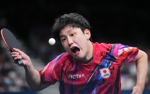 王楚钦张本智和男单争冠(王楚钦与张本智和，男单争冠的热血对决)