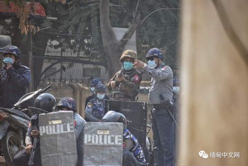 澳男子头部中枪被活埋 奇迹爬出坟墓(澳男子头部中枪被活埋，奇迹爬出坟墓的生存故事)