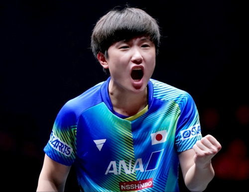 张本智和谈与王楚钦争冠：希望好运(张本智和谈与王楚钦争冠，希望好运)