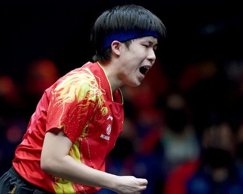 张本智和谈与王楚钦争冠：希望好运(张本智和谈与王楚钦争冠，希望好运)